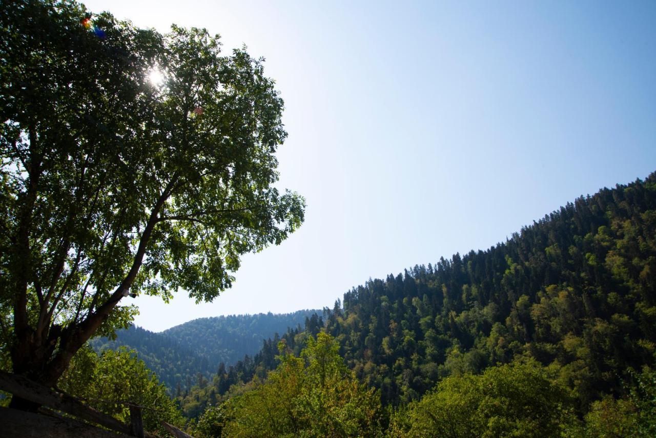 Landhaus Bordzjomi Buitenkant foto