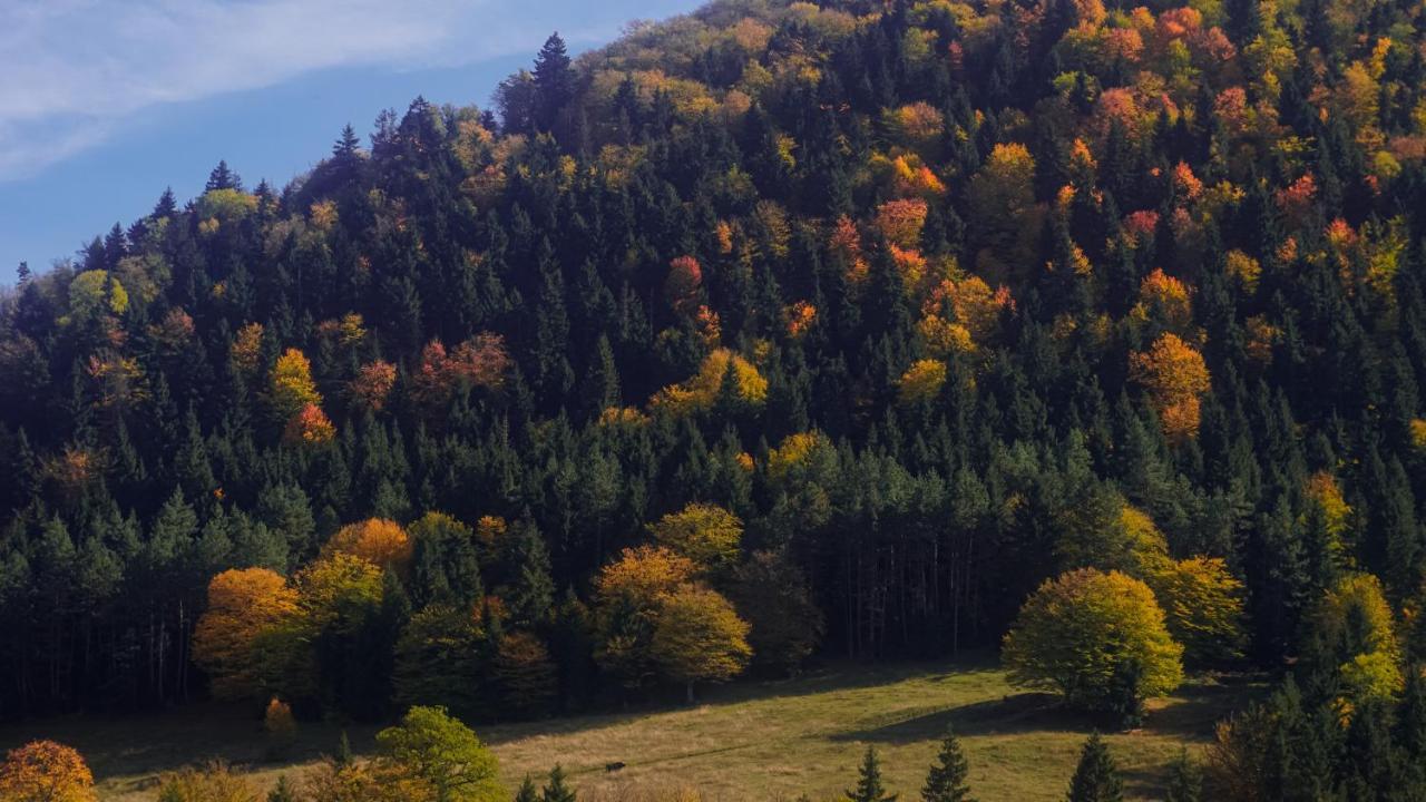 Landhaus Bordzjomi Buitenkant foto