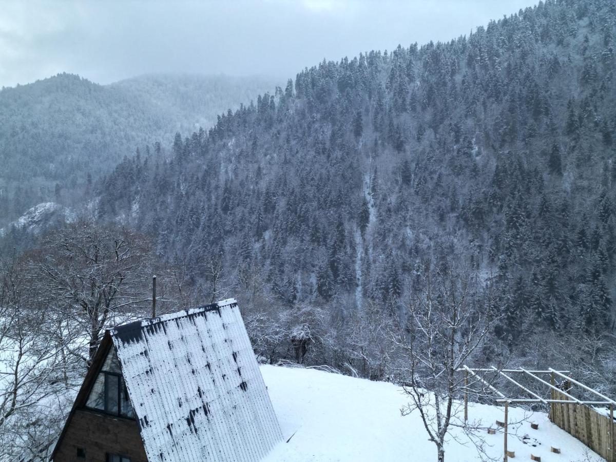 Landhaus Bordzjomi Buitenkant foto